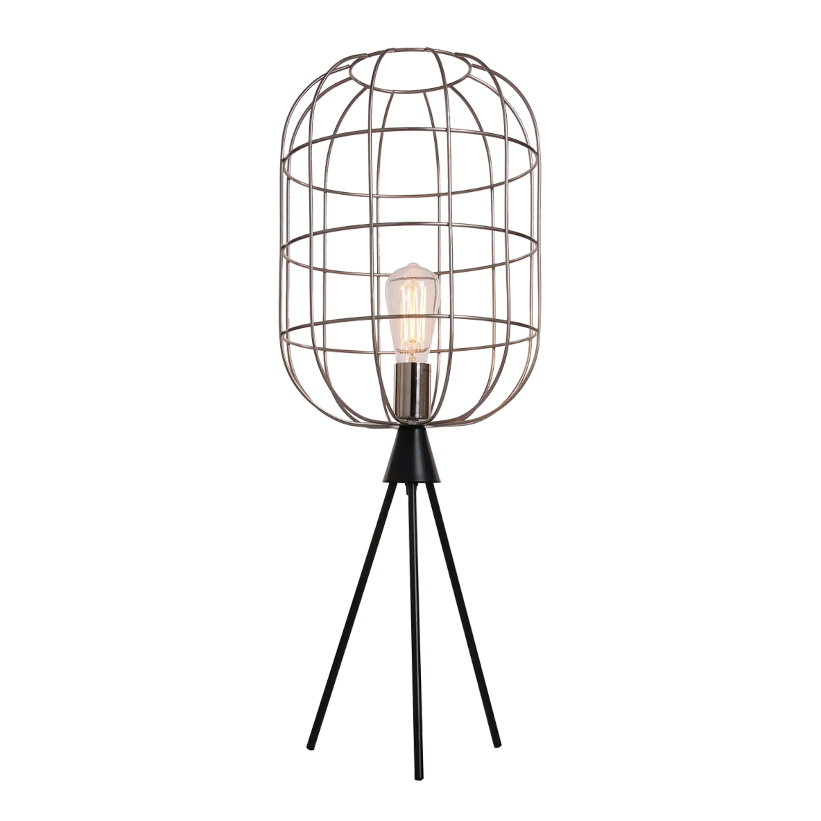 Wire cage cheap floor lamp